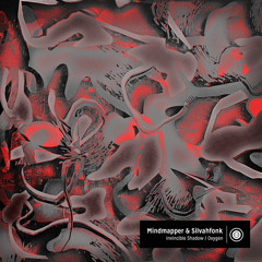 Mindmapper & Silvahfonk - Oxygen - forthcoming CX:Digital (*CLIP*)