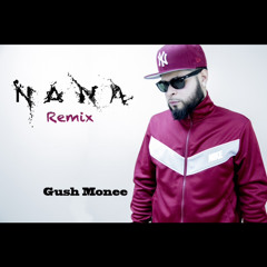 Na Na Remix (Spanish Version)