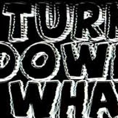 Turn Down For What Remix (Vince Hill, Juicy J, 2 Chainz , French Montana )