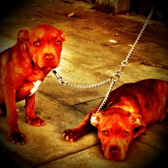 Dazzle (Eastside)ft Griminal