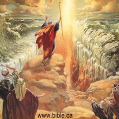 That The Waters May Come Again