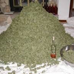 N.O.R.E - Married to Marijuana