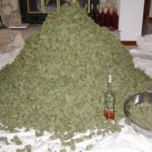 N.O.R.E - Married to Marijuana