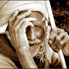 أتوبيس الحياة