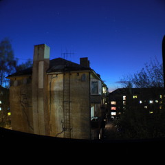 Оранжевые пустышки