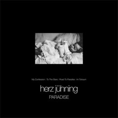 Herz Jühning - To The Stars