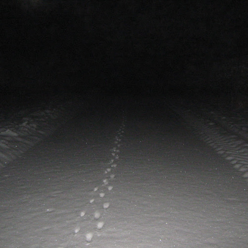 Breaking Music | Bboy Battle Beats 2021 🕺