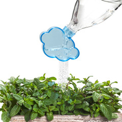 C. Damier & R. Trent - Morning Factory