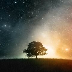 Under The Stars