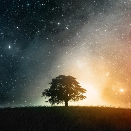 Under The Stars