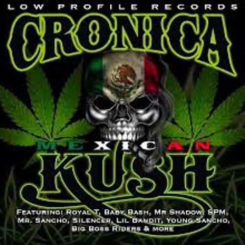 Mr. Shadow, Lil Bandit, Big Twist & Royal T - Light It Up