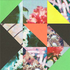 Gun Cheating Flowers - 21abr2014 @ Picnik no Calcadao