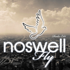 Noswell - Fly(Radio Edit)
