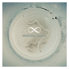 Multicolor - A Special Moment (Balkansky Remix)