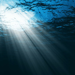 Your Abyss (bioassay Rework)