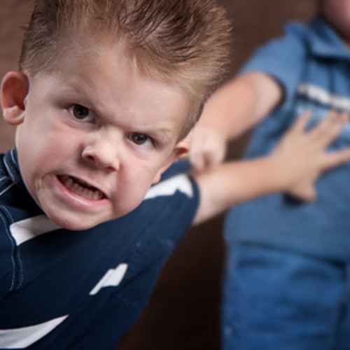Angry boys stream hotsell