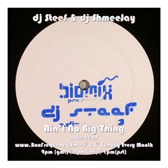 dj Steef & dj ShmeeJay - Ain't No Big Thing - 2014-05-04