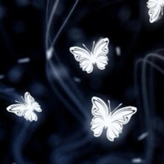 instrumental 2-memories