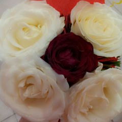 Seputih hati - agnes mo | by : noeray