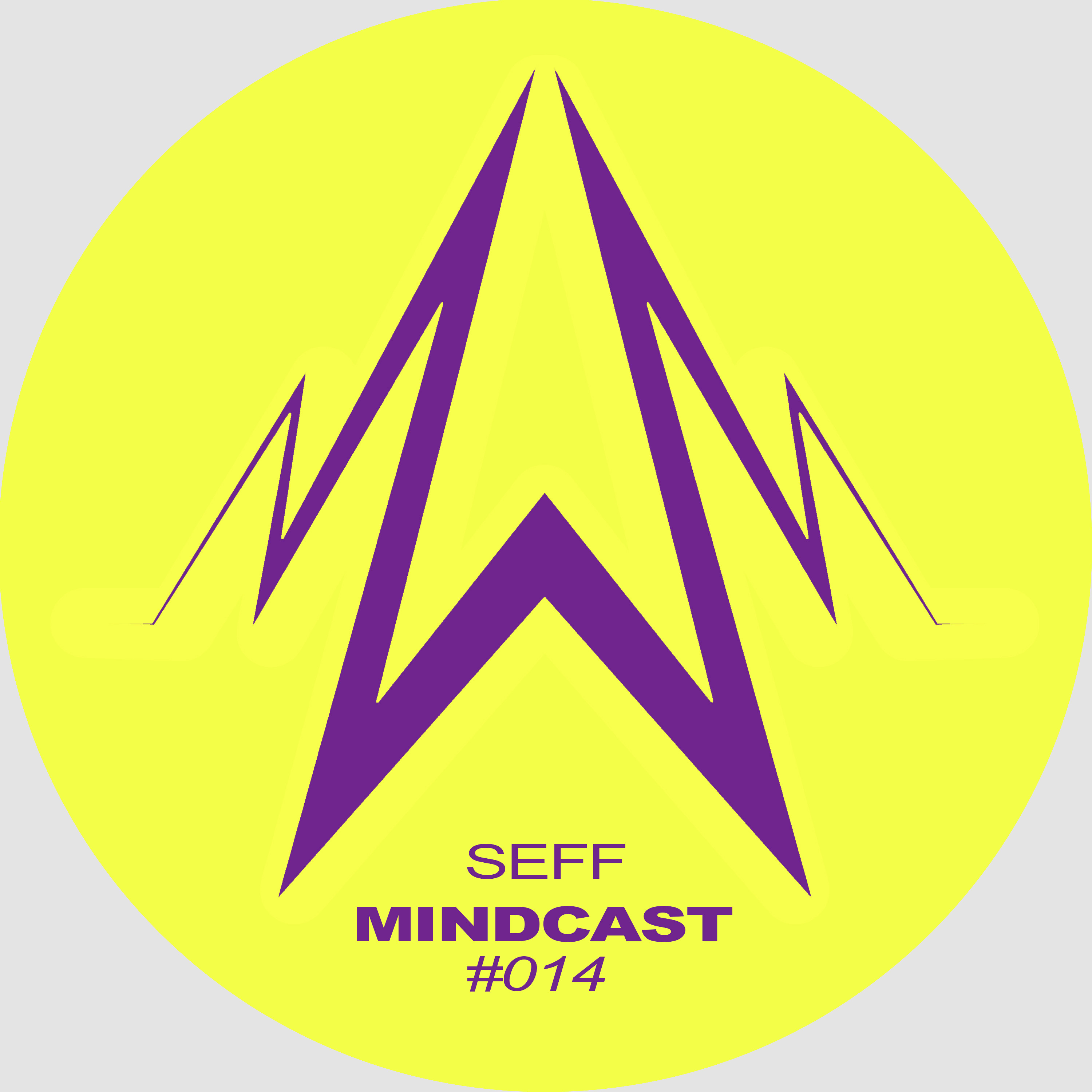 SEFF - Mindcast #014 episode artwork