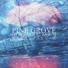 仙仙仙 HYPERBOLIC MIX VOL° 9 - PINE GROVE