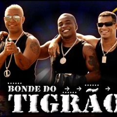 BONDE DO TIGRAO- BAILE TODO 2014 REMIX (DJ WESLEY CURITIBA PR)