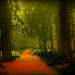 Somewhere, Sometime