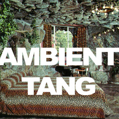Ambient Tang Ft. Father Smog Prod. Levi King (FREE DOWNLOAD)