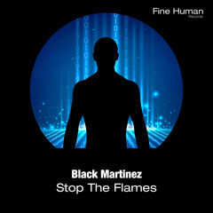 Black Martinez - Stop The Flames (Instrumental Mix)
