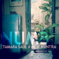Tamara Saul x New Mantra - Numb