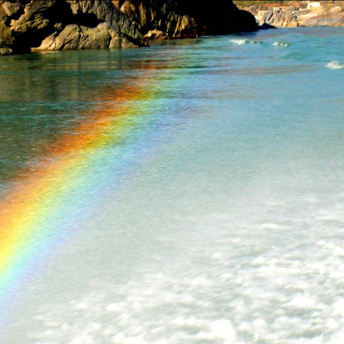 The Rose Of Allendale - Irish Folk Song -