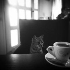 Morning Cup Of Coffee