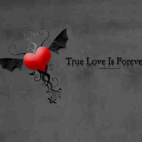Poomstyles - True Love Takes Me Away  (SAMPLE)