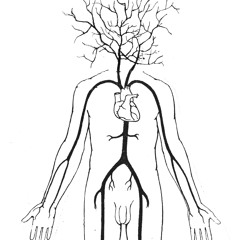 return of the gentleman sideb