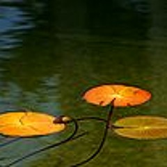 Finding the Center