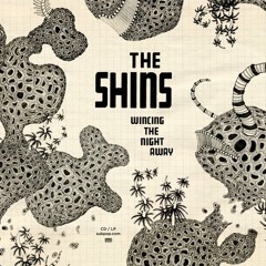 Phantom Limb ~ The Shins (cover)
