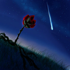 THROWN LIKE A STAR,(prod by dufrane)written by BEAST for DKmusic2014