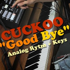 Good Bye - Live (Elektron version)