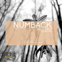 Numback - Snowdrop (Sqz Me Remix) (20may on beatport)