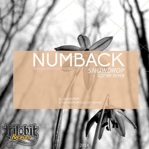 Numback - Snowdrop (Sqz Me Remix) (20may on beatport)