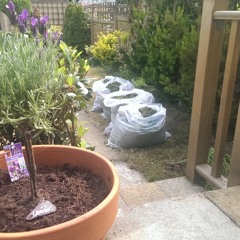 140504 Obscured Thoughts