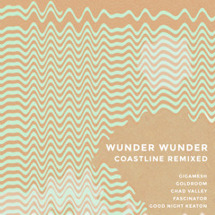 Wunder Wunder - "Coastline" (Chad Valley Remix)