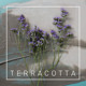 on Garden City Movement - Terracotta
