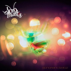 TheSonoMantisProject