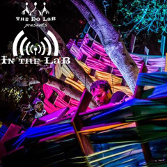 The Do LaB Presents In The LaB Featuring François K At Lightning In A Bottle 2013
