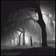 Serial Killer e Joubert Gruna - Lost In The Forest ( Original Mix ) FREE DOWNLOAD!!!
