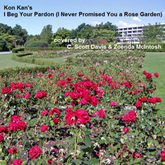 I Beg Your Pardon (I Never Promised You a Rose Garden) [with Zoenda McIntosh]