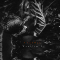 Discovered(Check them out)