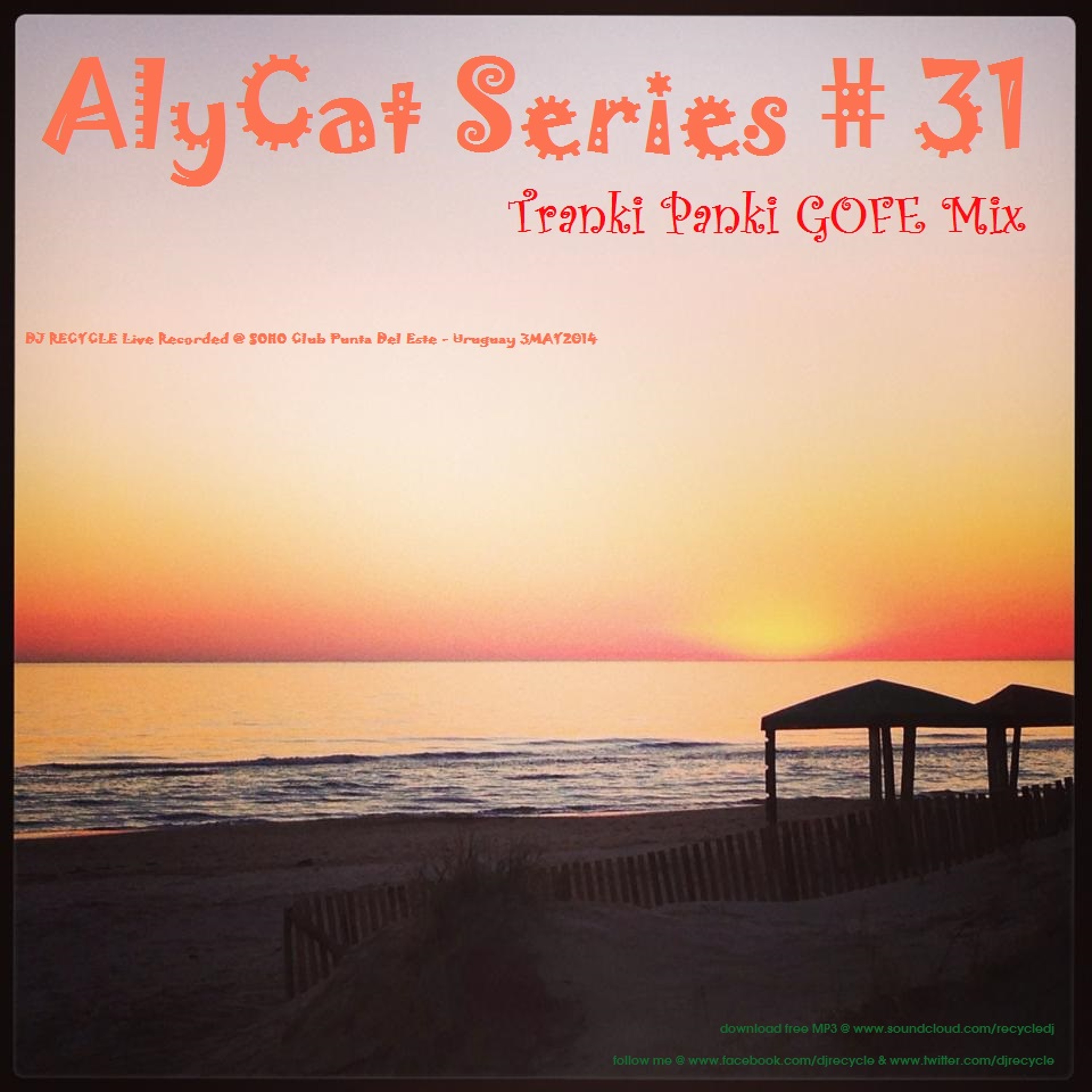 AlyCat Series by DJ RECYCLE