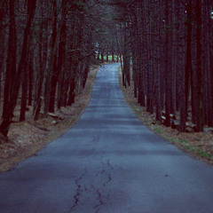 Signals Surely won't Save you Now